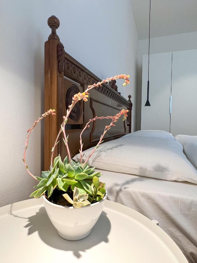 Sant'Antoni Apartments تينو المظهر الخارجي الصورة
